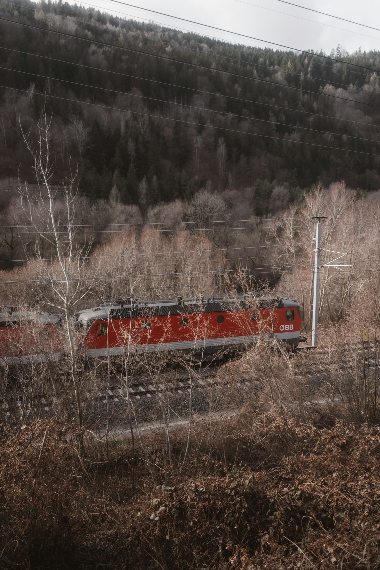 The Hidden Gems Awaiting on Train Routes