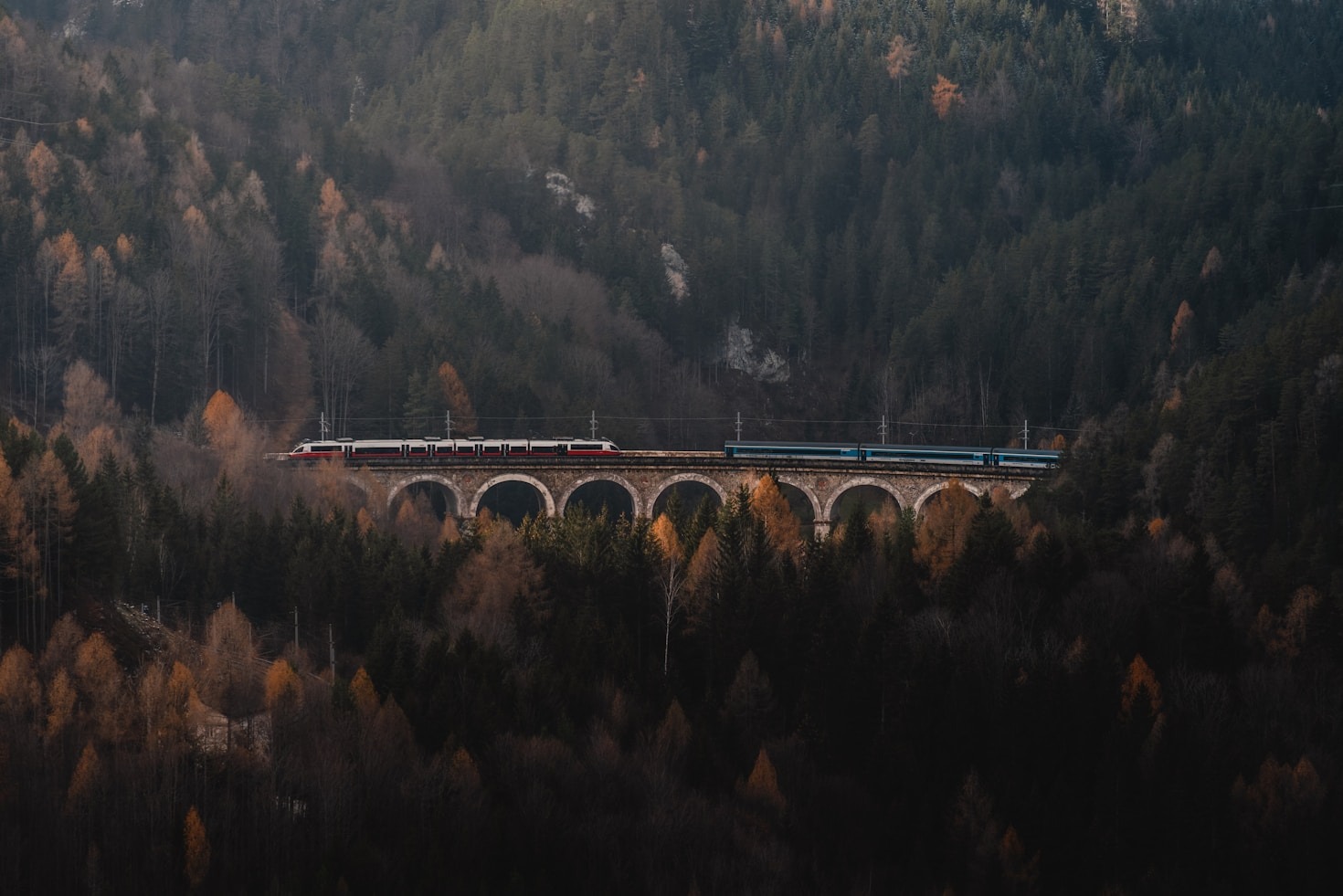 A Day in the Life of a Train Enthusiast